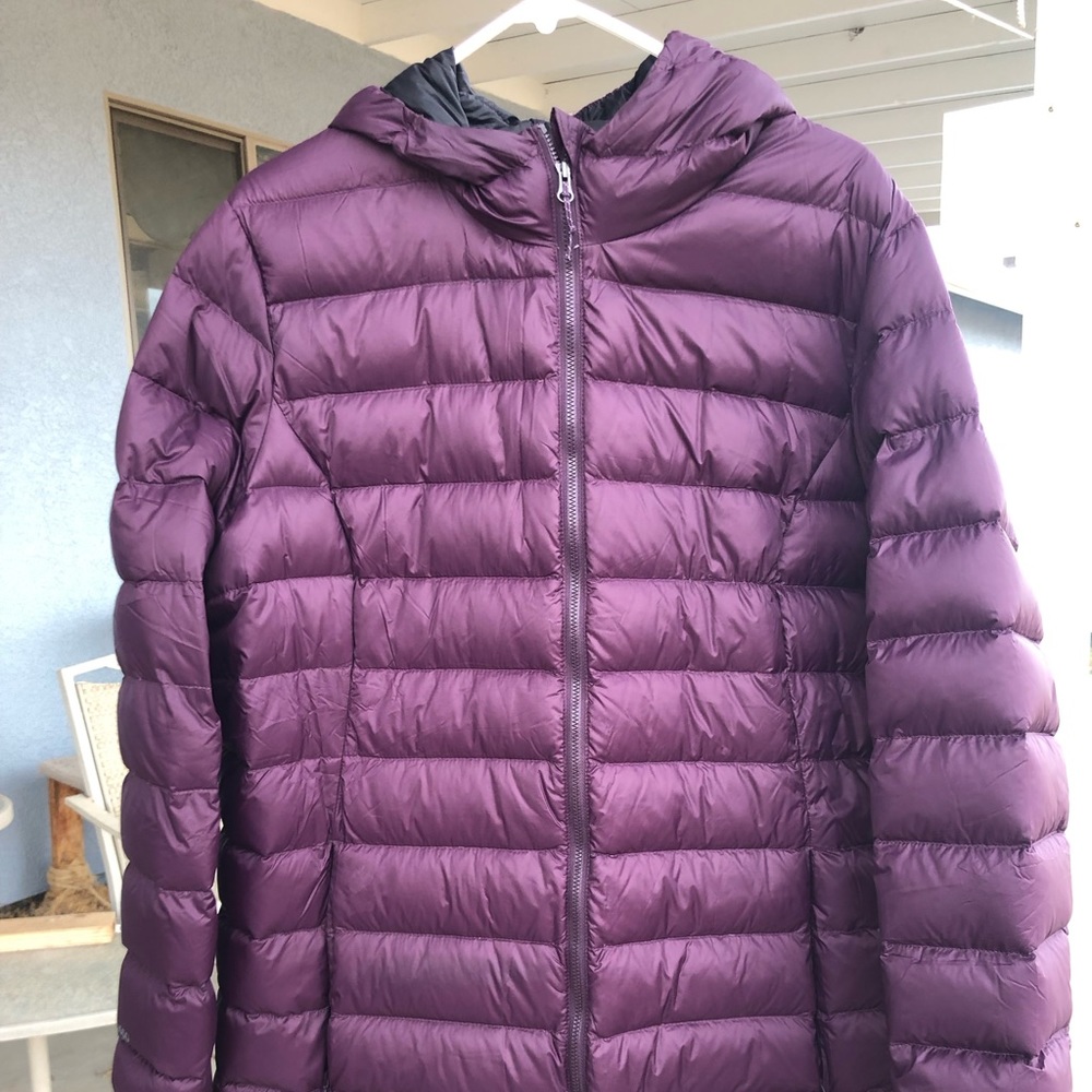 EB Cirrus Lite down jacket, plum